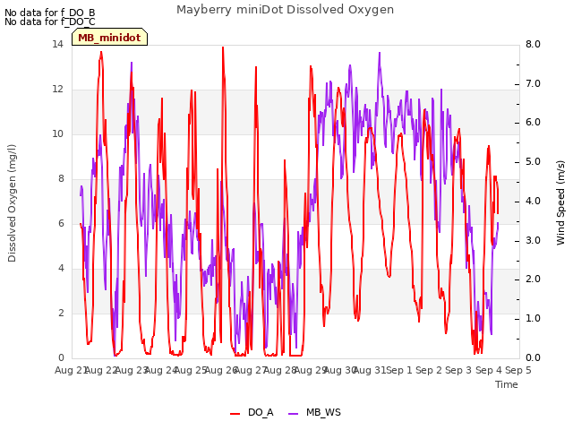 plot of Mayberry miniDot Dissolved Oxygen