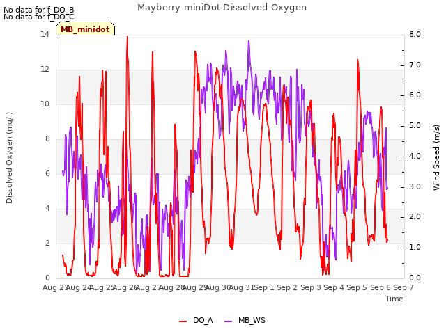 plot of Mayberry miniDot Dissolved Oxygen