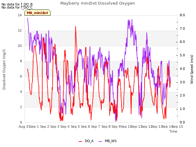 plot of Mayberry miniDot Dissolved Oxygen