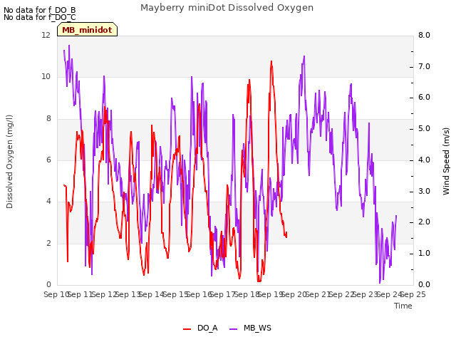 plot of Mayberry miniDot Dissolved Oxygen