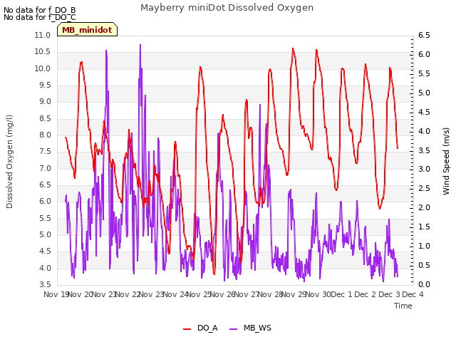 plot of Mayberry miniDot Dissolved Oxygen