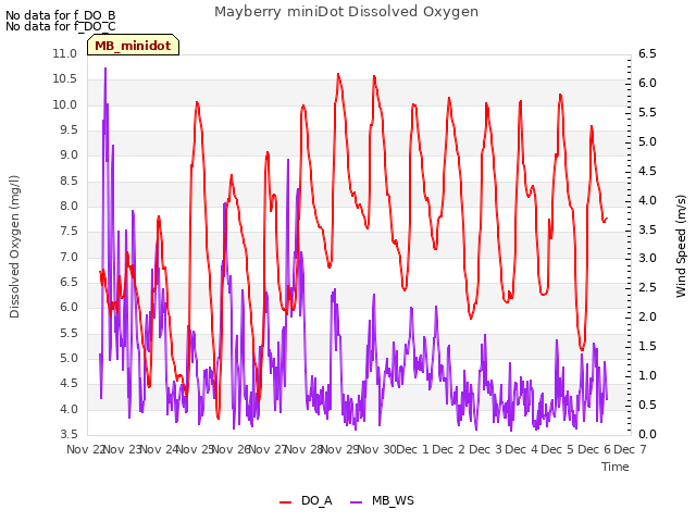 plot of Mayberry miniDot Dissolved Oxygen