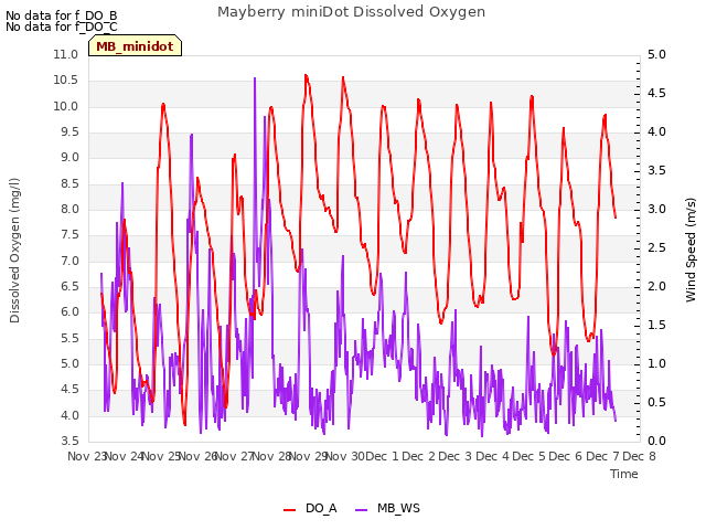 plot of Mayberry miniDot Dissolved Oxygen