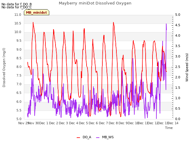 plot of Mayberry miniDot Dissolved Oxygen