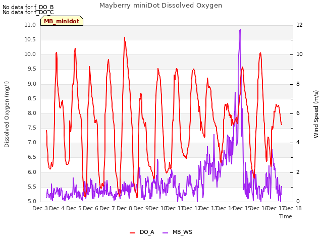 plot of Mayberry miniDot Dissolved Oxygen