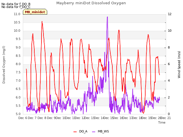 plot of Mayberry miniDot Dissolved Oxygen