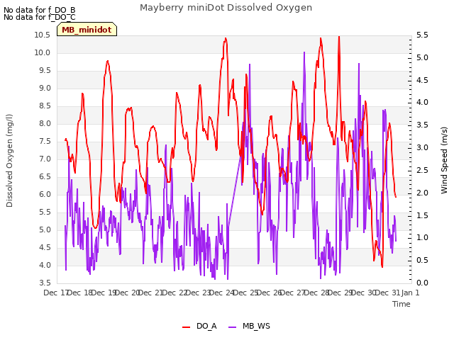 plot of Mayberry miniDot Dissolved Oxygen