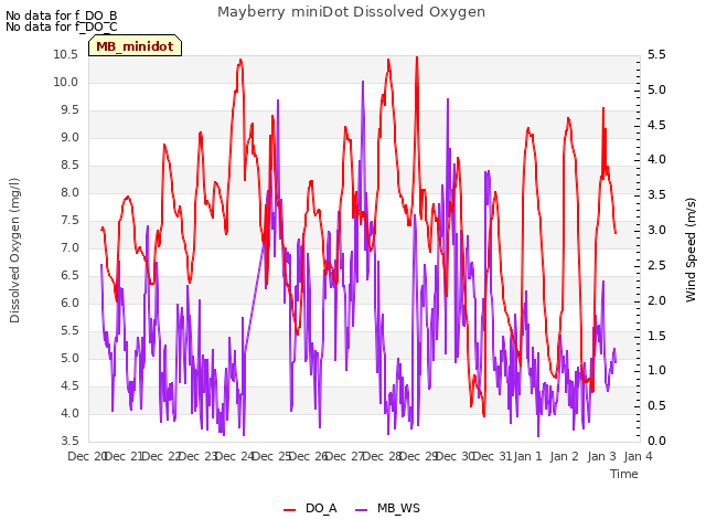 plot of Mayberry miniDot Dissolved Oxygen