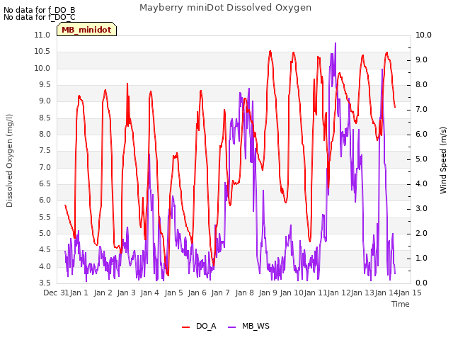 plot of Mayberry miniDot Dissolved Oxygen