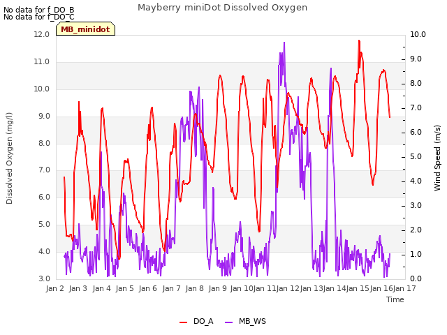 plot of Mayberry miniDot Dissolved Oxygen