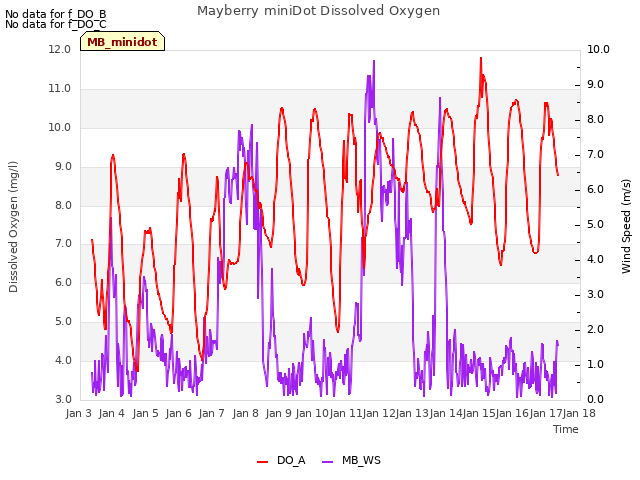 plot of Mayberry miniDot Dissolved Oxygen