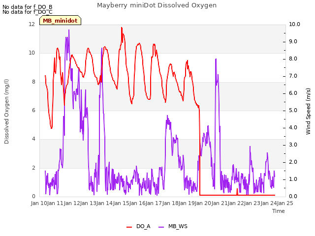 plot of Mayberry miniDot Dissolved Oxygen