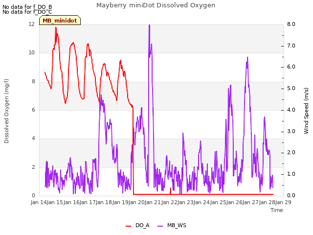 plot of Mayberry miniDot Dissolved Oxygen