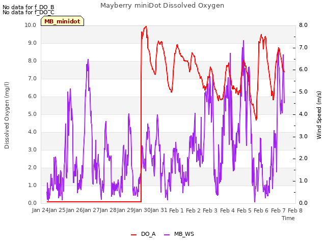 plot of Mayberry miniDot Dissolved Oxygen