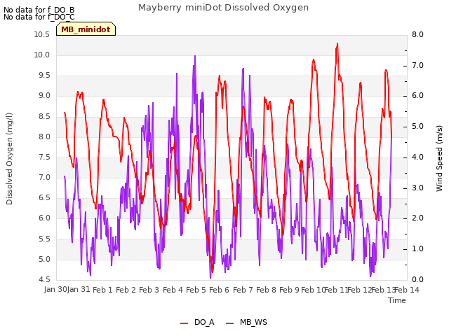 plot of Mayberry miniDot Dissolved Oxygen