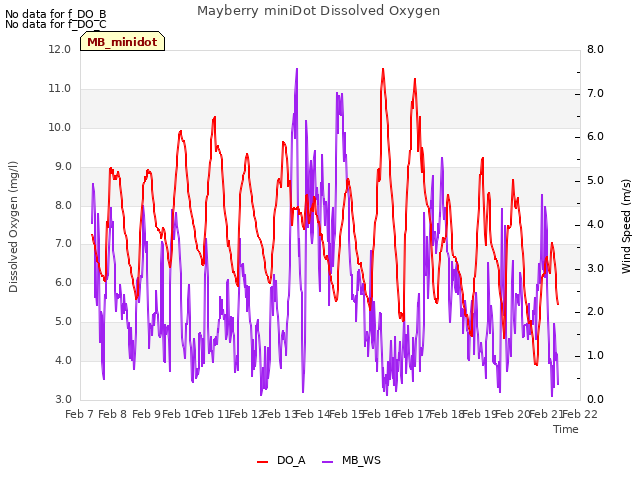 plot of Mayberry miniDot Dissolved Oxygen
