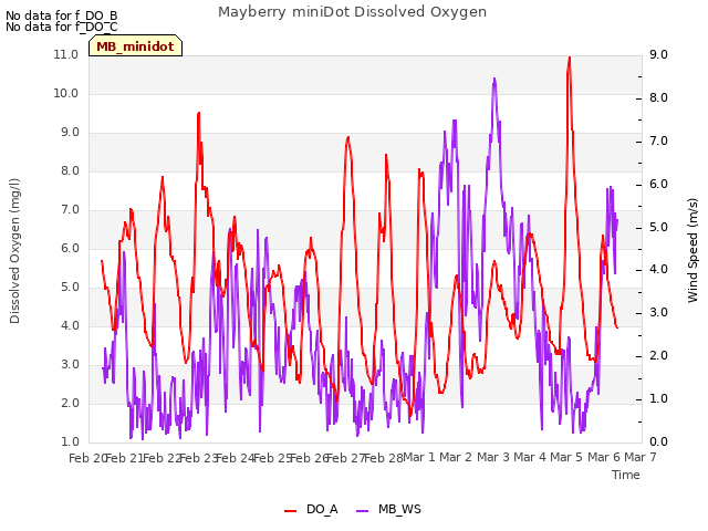 plot of Mayberry miniDot Dissolved Oxygen