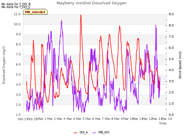 plot of Mayberry miniDot Dissolved Oxygen