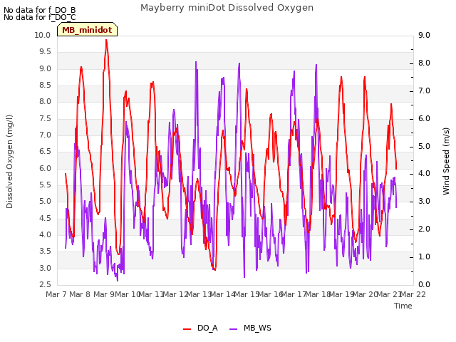 plot of Mayberry miniDot Dissolved Oxygen