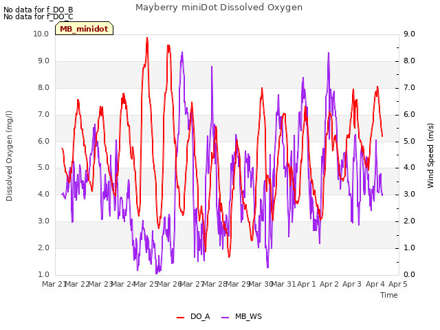 plot of Mayberry miniDot Dissolved Oxygen