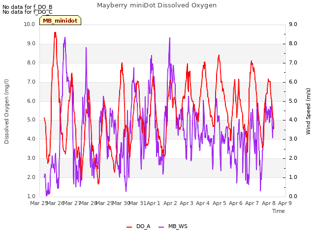 plot of Mayberry miniDot Dissolved Oxygen