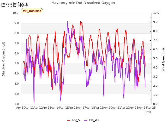 plot of Mayberry miniDot Dissolved Oxygen