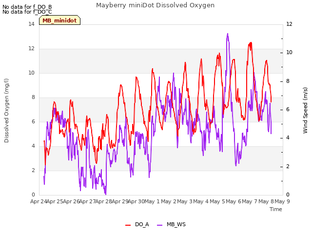 plot of Mayberry miniDot Dissolved Oxygen