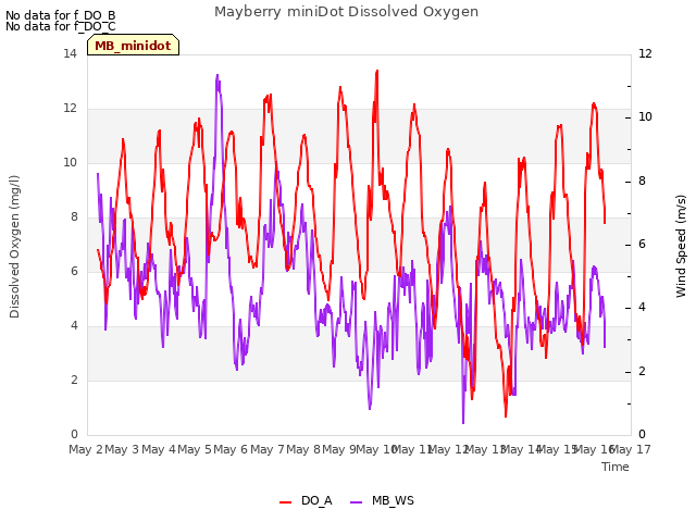 plot of Mayberry miniDot Dissolved Oxygen