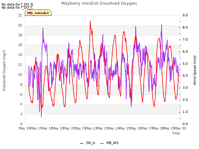 plot of Mayberry miniDot Dissolved Oxygen