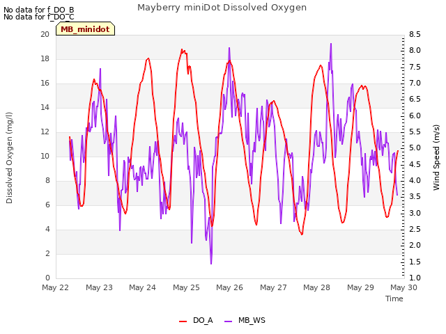 plot of Mayberry miniDot Dissolved Oxygen