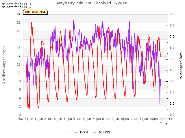 plot of Mayberry miniDot Dissolved Oxygen