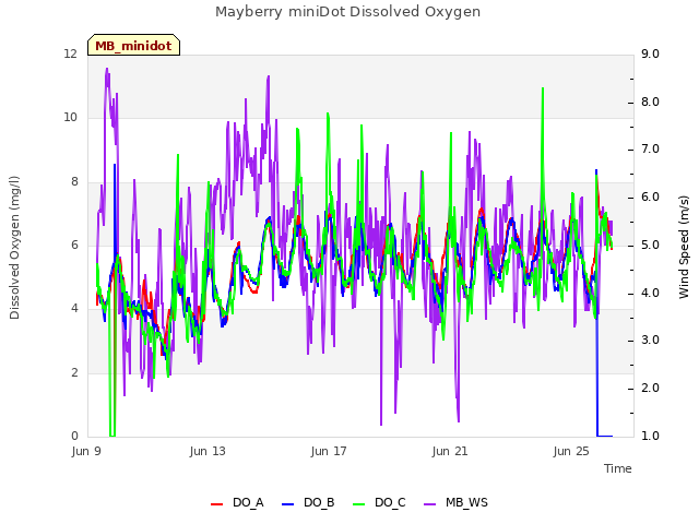 Explore the graph:Mayberry miniDot Dissolved Oxygen in a new window