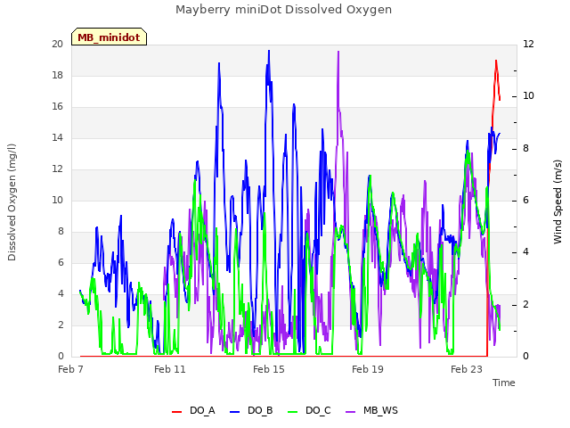 Explore the graph:Mayberry miniDot Dissolved Oxygen in a new window