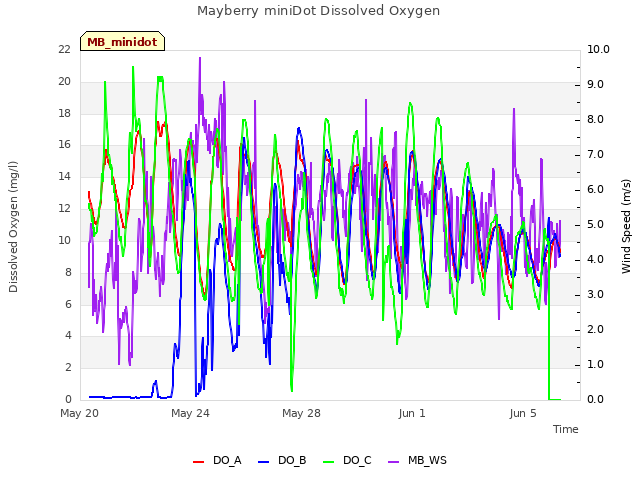 Explore the graph:Mayberry miniDot Dissolved Oxygen in a new window