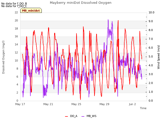 Explore the graph:Mayberry miniDot Dissolved Oxygen in a new window