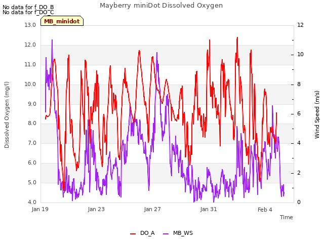 Explore the graph:Mayberry miniDot Dissolved Oxygen in a new window