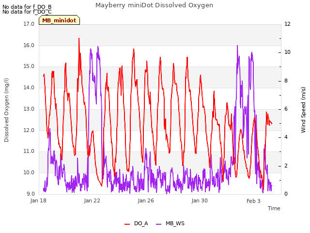 Explore the graph:Mayberry miniDot Dissolved Oxygen in a new window