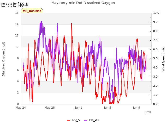 Explore the graph:Mayberry miniDot Dissolved Oxygen in a new window