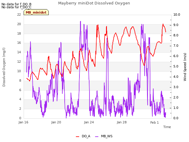 Explore the graph:Mayberry miniDot Dissolved Oxygen in a new window