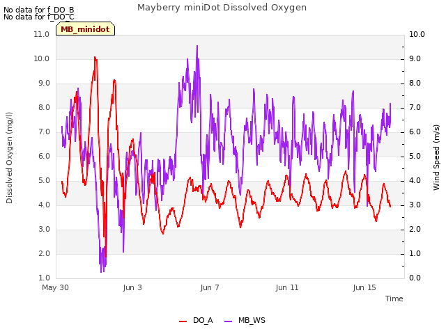 Explore the graph:Mayberry miniDot Dissolved Oxygen in a new window