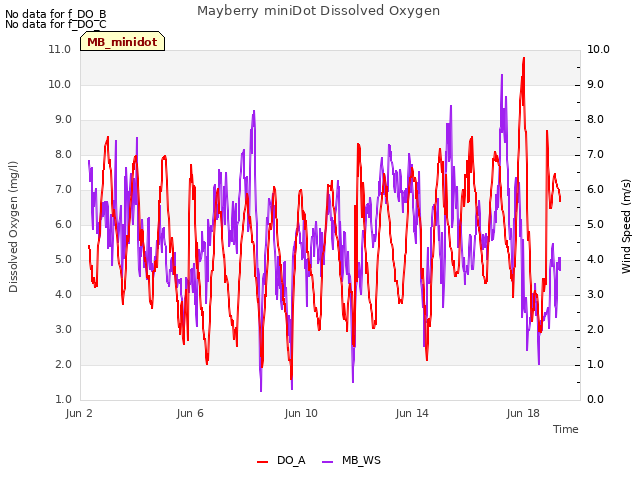 Explore the graph:Mayberry miniDot Dissolved Oxygen in a new window