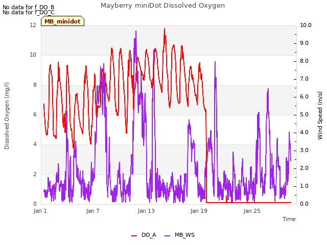 Graph showing Mayberry miniDot Dissolved Oxygen