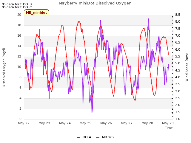 Graph showing Mayberry miniDot Dissolved Oxygen