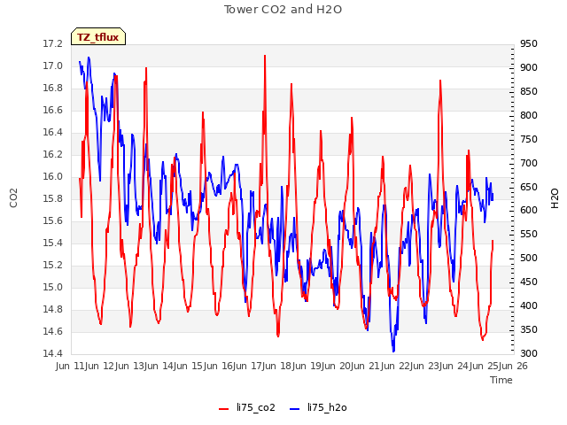 plot of Tower CO2 and H2O