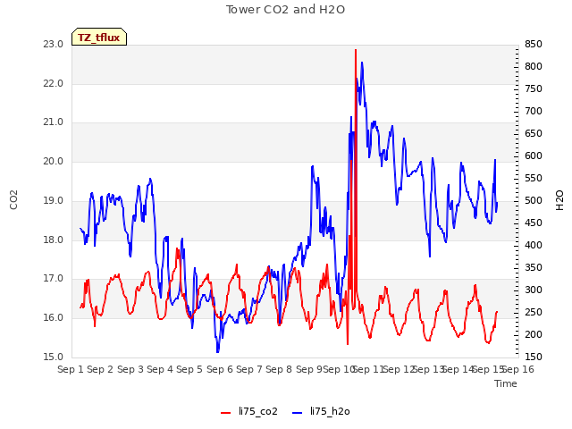 plot of Tower CO2 and H2O