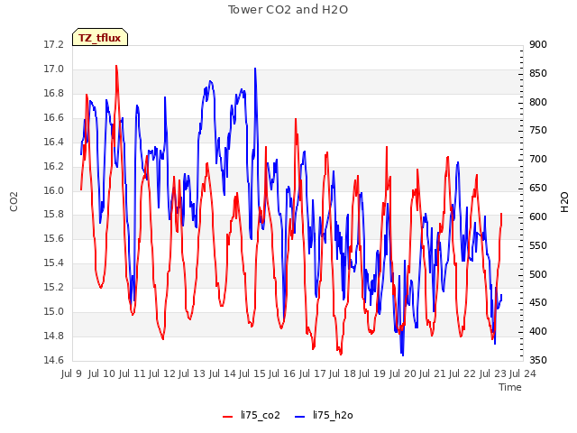 plot of Tower CO2 and H2O