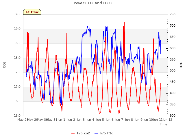 plot of Tower CO2 and H2O