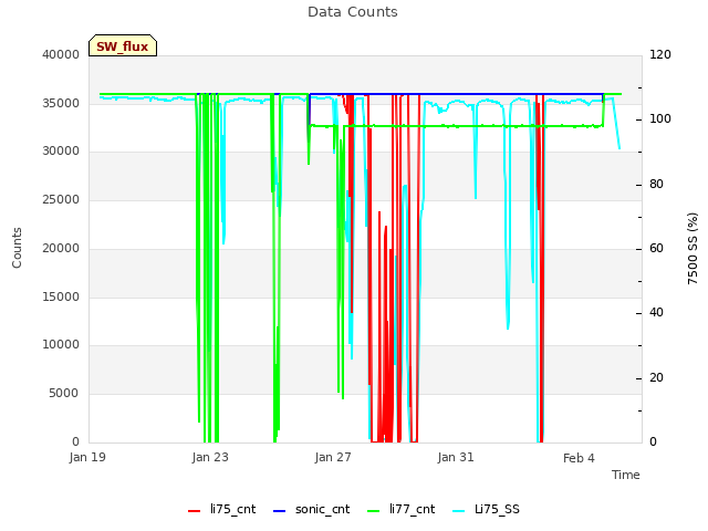 Explore the graph:Data Counts in a new window