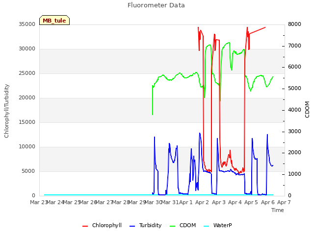 plot of Fluorometer Data