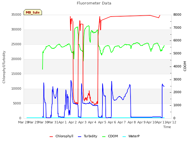 plot of Fluorometer Data